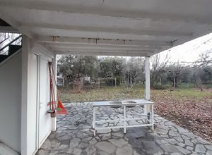 Studio/Γκαρσονιέρα για ενοικίαση - Σιθωνία, - Photo 2