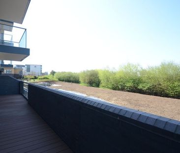 Cygnet House, Drake Way, Reading, RG2 - Photo 2