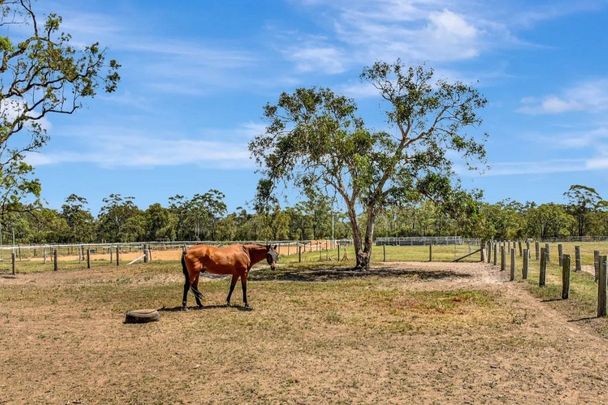 Cessnock - Photo 1