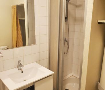 Location Appartement 1 pièce 24m² - Photo 4