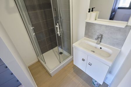 JARDINIERS C Colocation 4 chambres à Nancy - Photo 5