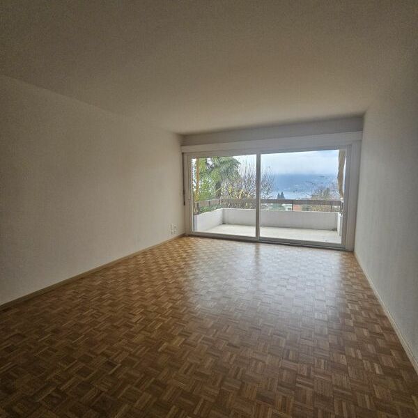 4.5 locali ristrutturato con ampia terrazza - Photo 1