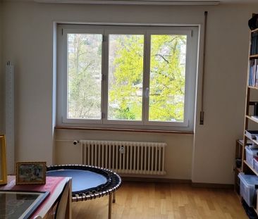 gemütliches Zuhause mitten in Luzern - Foto 2