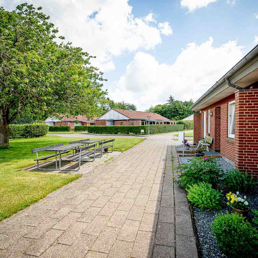 Bolderslev Nørregade, 54, 6392, Bolderslev - Foto 1