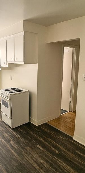 1 CH - 1 SDB - Montréal - $1,375 /mo - Photo 1