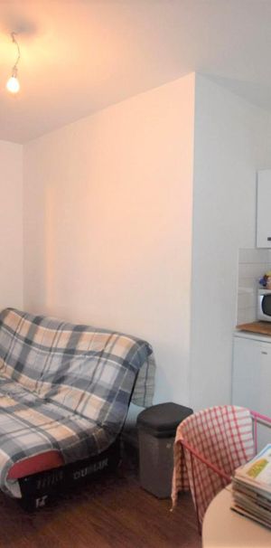 Location Appartement 1 pièce 19m² CHOLET 49300 - Photo 1