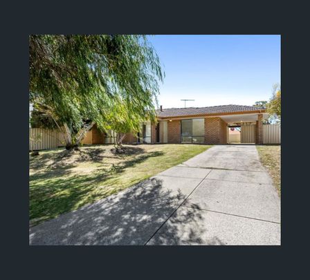 14 Albatross Pl, Rockingham, WA 6168 - Photo 1