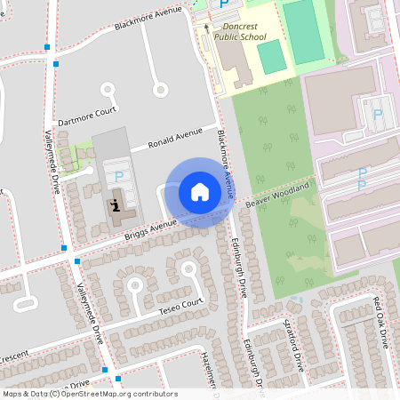 136 Briggs Avenue Unit# Lower, Richmond Hill