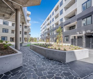 212/34 Oakden Street, Greenway ACT 2900 - Apartment For Rent | Domain - Photo 1