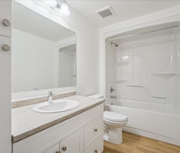 For Lease - 65b Shipley Avenue Unit# Lower, Collingwood, Ontario - Photo 5