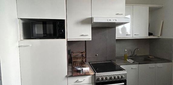 Location Appartement 1 pièce 17m² HOENHEIM 67800 - Photo 2