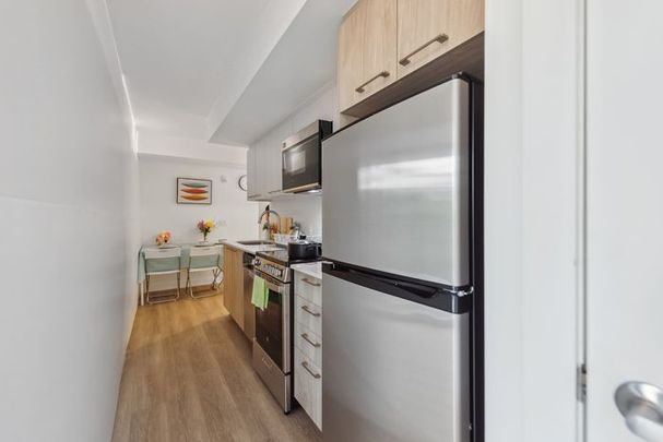 Deluxe Premium - 29 Robinson - Photo 1