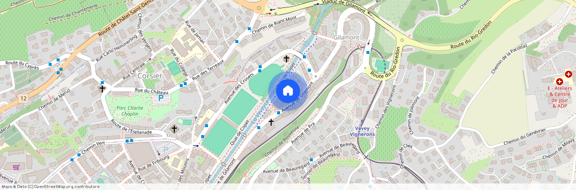 Avenue de Gilamont 19B - E, 1800 Vevey