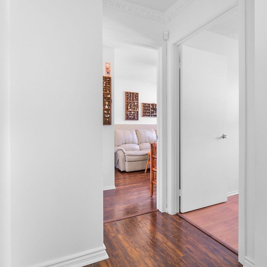 For Lease - 260 Brittany Drive Unit# 103, Manor Park - Cardinal Glen and Area, Ontario - Photo 1