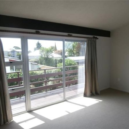 35 Kinleys Lane, St Albans, Christchurch City - Live Life in the Quiet Lane - Photo 1