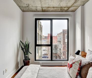 Nouveauté sur le marché Appartement à louer - Montréal (Ville-Marie... - Photo 1