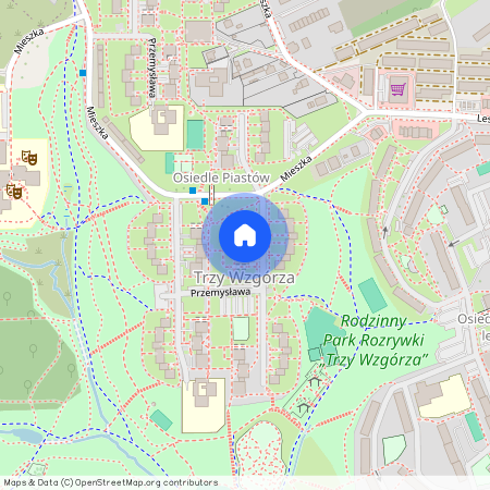 Wodzisław Śląski, wodzisławski, śląskie