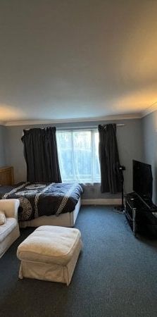 Southgate 1 bedroom studio to rent - Photo 1