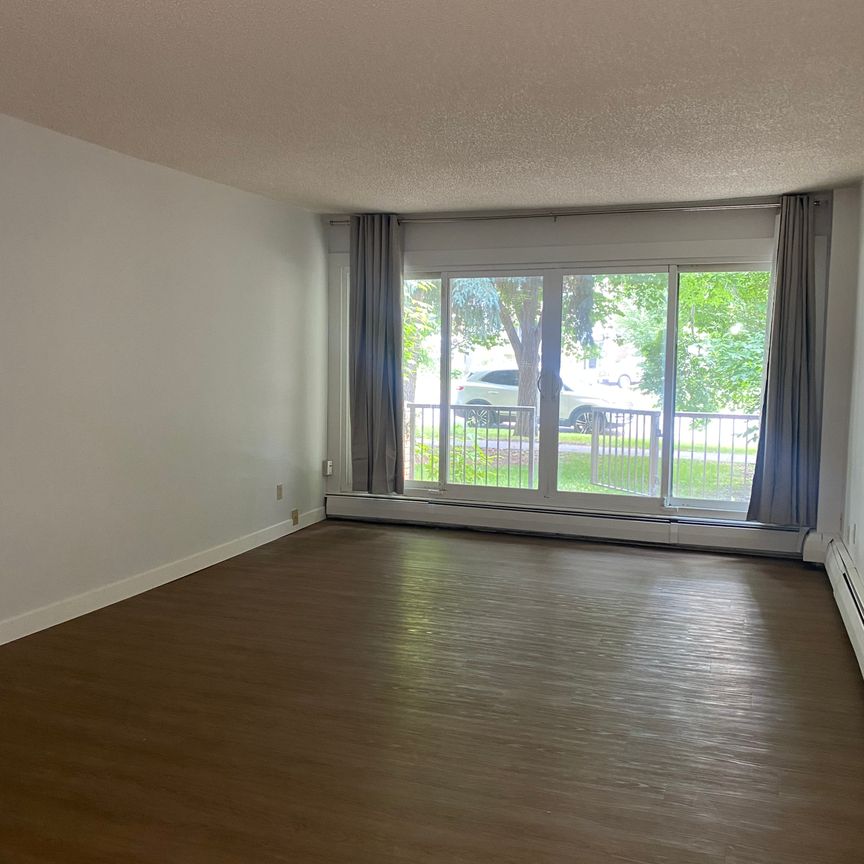 Spacious One Bedroom Apartment in Beautiful Sunnyside - Photo 1