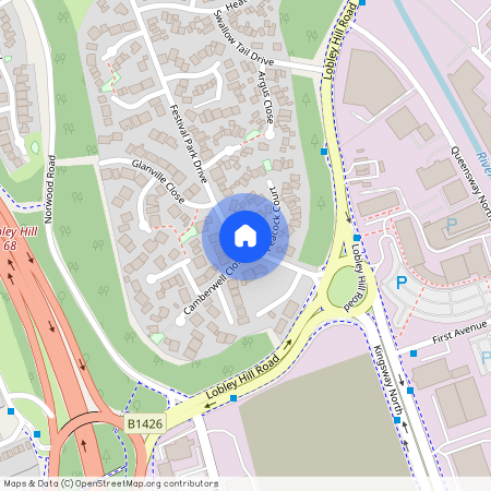 Camberwell Close, Festival Park, NE11