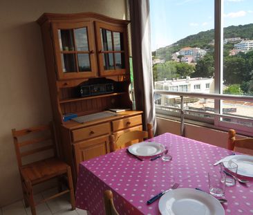 Location Appartement 1 pièce 22m² SETE 34200 - Photo 3
