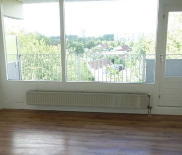 Room Haarlem - Pampus - Foto 4