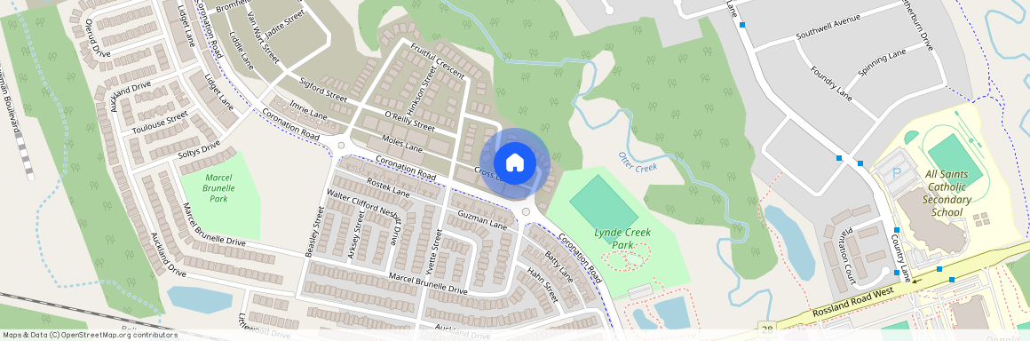 16 Thelma Drive Unit# Main, Whitby