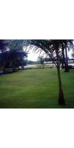 Absolute Beachfront ! - Photo 3