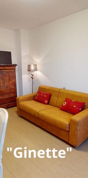 "Ginette" T2 meublé avec cave - Photo 1
