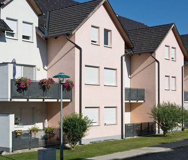 WirtschaftseinheitTRAISMAUER IV/1 - Photo 3