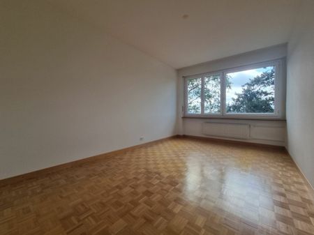 Stadtwohnung mit Weitsicht zu vermieten - Foto 4