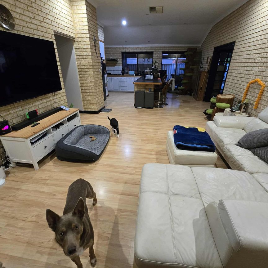 Jane Brook - Photo 1