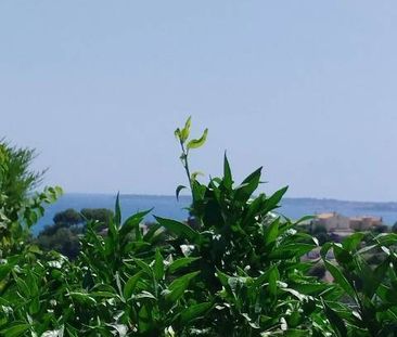 Location Appartement - Photo 3