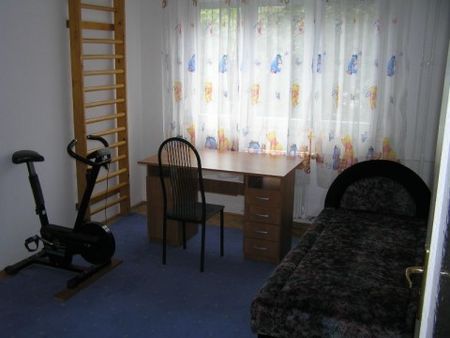 Berend utca - Photo 4