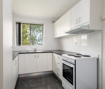 3/54 Knox Street, Belmore NSW 2192 - Apartment For Rent | Domain - Photo 4
