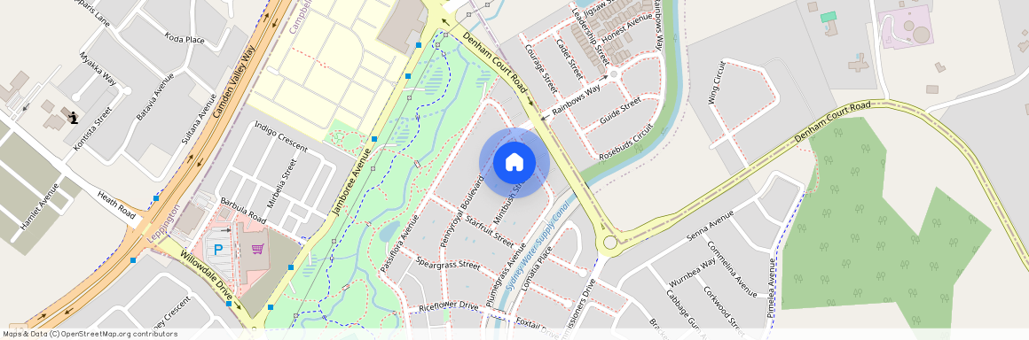 6A Mintbush Street, NSW 2565, Denham Court