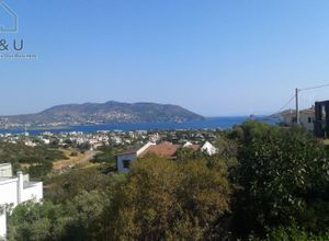 Μονοκατοικία για ενοικίαση - Μαρκόπουλο, - Photo 3