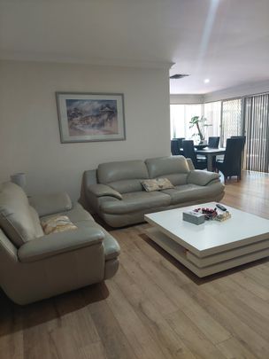 Marangaroo - Photo 1