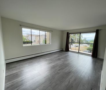 Newer Renovation 1 Bedroom Apartment - Photo 6