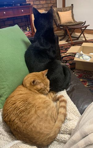 Moonee Ponds - Photo 2