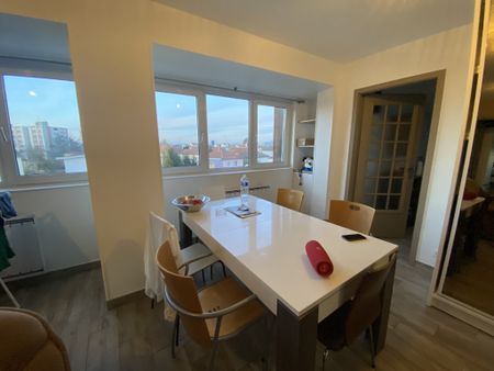 Location Appartement 3 pièces 55m² ST LOUIS 68300 - Photo 4