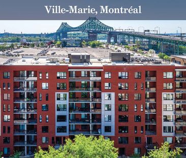 1 Bedroom Available At 2130 Rue Laforce, Montreal - 2130 Rue Laforc... - Photo 1