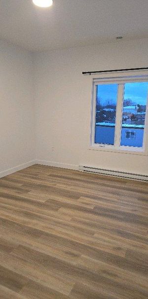 4 1/2 animaux acceptés - Photo 1