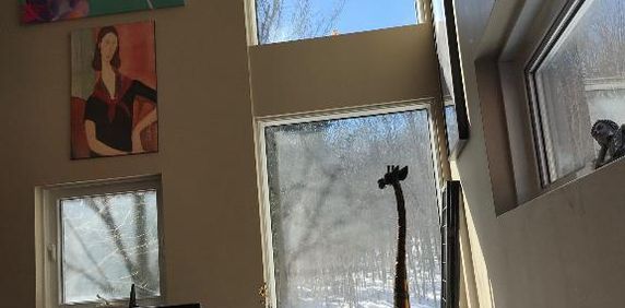 Grand, Mezzanine et Toit-Terrasse Morin Heights - Photo 2