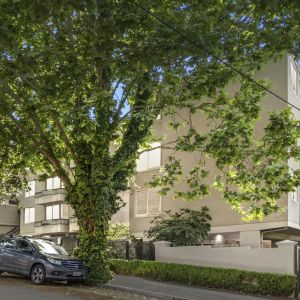 In one of South Yarra's premier leafy pockets! - Photo 3
