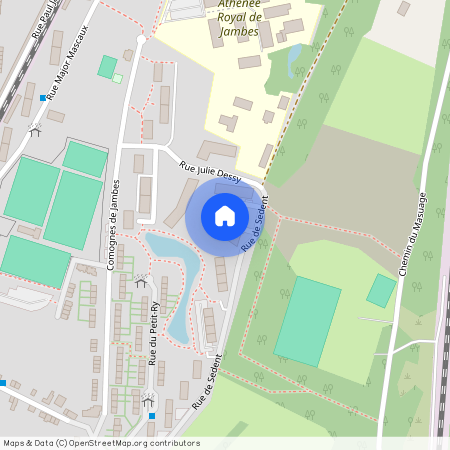 Rue de Sedent, 44, 05, 5100, Namur