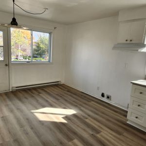 Grand 4 ½ Lumineux – 2e étage - Anjou - Photo 3