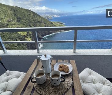 santa_cruz_de_tenerife, Canary Islands 38379 - Photo 5