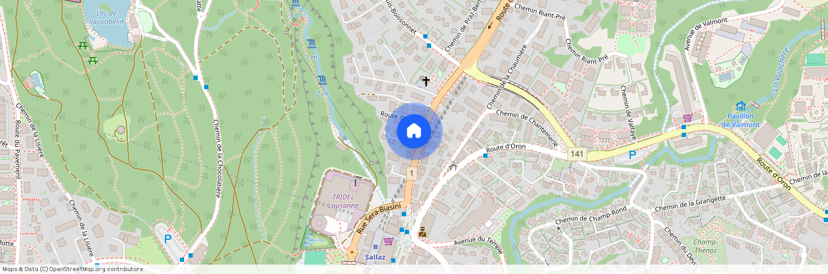 1010, Lausanne, Route De Berne, 29