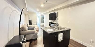 E103 - 430 5th Street, Courtenay Fully Furnished Studio - Photo 2